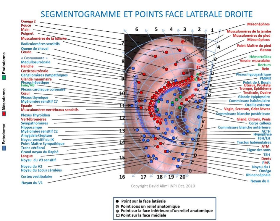 Carte points auriculothérapie